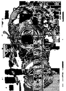 antiorp